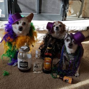 Meet your Posher, Karen